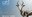 HRL presents 4 papers at IROS 2024, Abu Dhabi