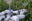 HortiBot: An Adaptive Multi-Arm System for Robotic Horticulture of Sweet Peppers