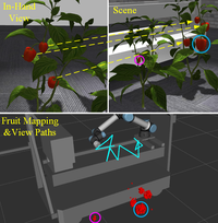 GO-VMP: Global Optimization for View Motion Planning in Fruit Mapping