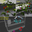 GO-VMP: Global Optimization for View Motion Planning in Fruit Mapping
