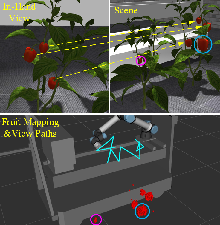 GO-VMP: Global Optimization for View Motion Planning in Fruit Mapping