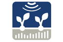 PhenoRob performs world-leading research in robotics and phenotyping for sustainable crop production. Our vision is to transform crop production by optimizing breeding and farming management through developing and deploying new technologies. PhenoRob addresses a real-world problem with a technology-oriented approach. Our scientists have backgrounds in computer science, geodesy, robotics, plant science, soil science, economics, and environmental science. This interdisciplinary team forms the only DFG-funded Cluster of Excellence focusing on agriculture.