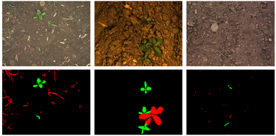 Gradient and Log-based Active Learning for Semantic Segmentation of Crop and Weed for Agricultural Robots