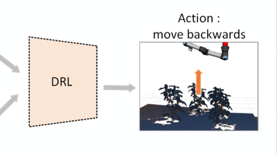 Deep Reinforcement Learning for Next-Best-View Planning in Agricultural Applications