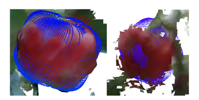 Fruit Mapping with Shape Completion for Autonomous Crop Monitoring