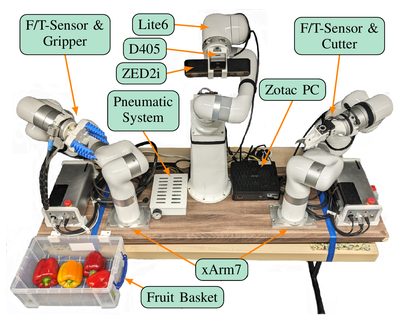 HortiBot: An Adaptive Multi-Arm System for Robotic Horticulture of Sweet Peppers