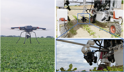 Automated Leaf-Level Inspection of Crops Combining UAV and UGV Robots
