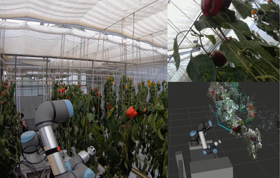 Phenorob - Robotics and Phenotyping for Sustainable Crop Production