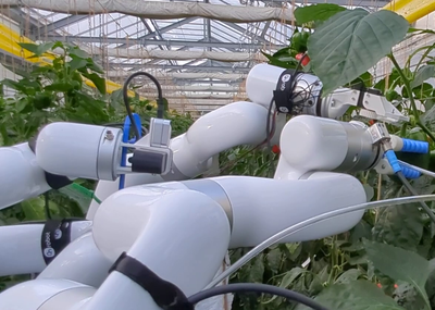 Phenorob - Robotics and Phenotyping for Sustainable Crop Production