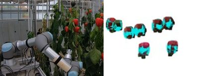 Consistency-Aware View Motion Planning for Fruit Mapping
